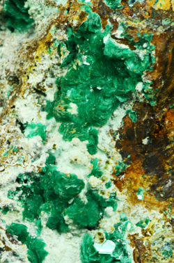 Chalcophyllite - Salsigne mine, Mas-Cabard�s, Carcassonne, Aude, Languedoc-Roussillon, France