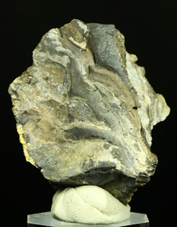 Arsenic - Sondalo, Malenco valley, Sondrio, Lombardia, Italy