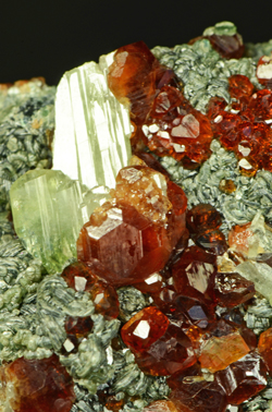 Hessonite and Diopside - Testa Ciarva, Pian della Mussa, val d'Ala, Torino province, Piedmont, Italy