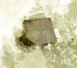 Sulvanite - Valpulita quarry, Torano Valley, Carrara, Tuscany, Italy