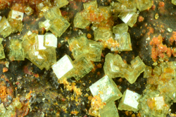 Pharmacosiderite - Perdaniedda Mine, Oridda valley, Domusnovas, Carbonia-Iglesias, Sardinia, Italy