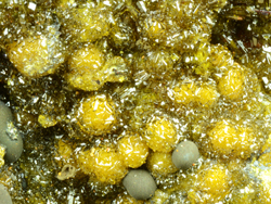 Cyrilovite - Bosa, Oristano Province, Sardinia, Italy