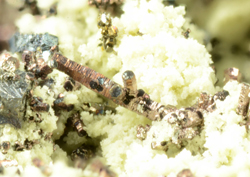 Breithauptite, Ullmannite - Masaloni Mine, Sarrabus, Province of Cagliari, Sardinia, Italy