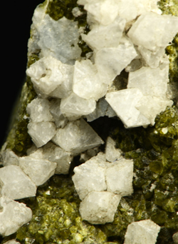 Gismondine - Vedretta della Miniera, Zebr� Valley, Valfurva, Sondrio Province, Lombardy, Italy