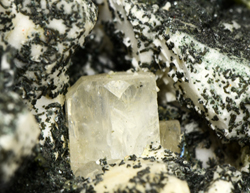 Apatite on Albite (var. Pericline) - Trentino A. Adige, Italy