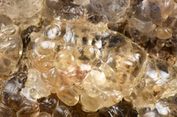 Opal - Sant'Antioco, Carbonia, Sardegna, Italy