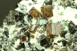 Perowskite and Melanite - Emarese, Val d'Aosta, Italy