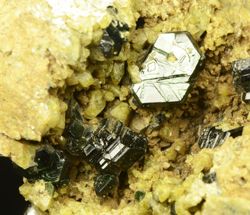 Clintonite and Fassaite - Lago della Vacca, Cornone di Blumone, Breno, Camonica Valley, Brescia Province, Lombardy, Italy