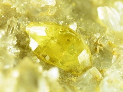 Monazite - Saint-Christophe-en-Oisans, Grenoble, Is�re, Auvergne-Rh�ne-Alpes, France