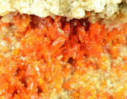 Tiragalloite - Molinello Mine, Ne, Genoa, Liguria, Italy