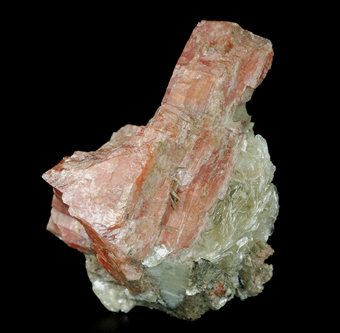 Serandite and muscovite - Poudrette quarry - Mont Saint-Hilaire, Rouville RCM - Mont�r�gie - Qu�bec - Canada