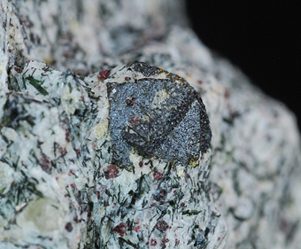 Loparite-(Ce) - Maly Mannepakhk Mt - Khibiny Massif - Kola pen. - Murmanskaja Oblast' - Northern Region - Russia