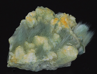 Byssolite (var. of actinolite) and albite - Miage Glacier - Veny Valley - Monte Bianco Massif - Courmayeur - Aosta Valley - Italy