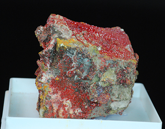 Realgar - Solfatara di Pozzuoli - Pozzuoli - Phlegrean Fields - Naples Province - Phlegrean Volcanic Complex - Campania - Italy