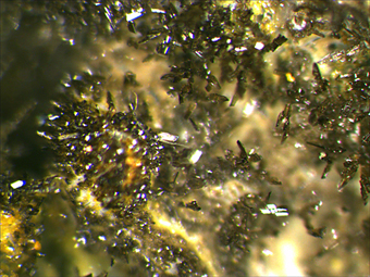 Cotunnite and challacolloite - La Fossa crater - Vulcano Island - Lipari - Eolie Islands - Messina prov. - Sicily - Italy