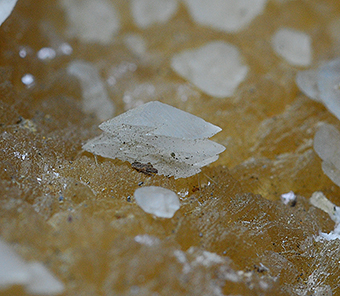 Calcite - Torrente Chiarone - Tidone valley - Piacenza - Emilia-Romagna - Italy