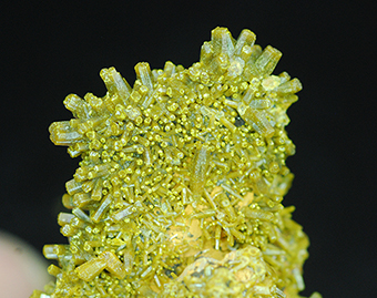 Pyromorphite - Les Farges mine - Ussel - Corr�ze - France