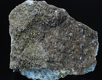 Axinite-(Fe) - Piz Vallatscha - Medel valley - Grischun - Switzerland