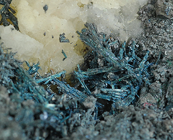 Betechtinite and bornite - Dzhezkazgan mine - Dzhezkazgan - Karagandy prov. - Kazakhstan