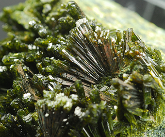 Epidote - Epidote occurrence - Escales reservoir - Ribagor�a - Huesca - Arag�n - Spain