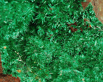 Malachite - Touissit - Touissit distr. - Jerada prov. - Oriental Region - Morocco