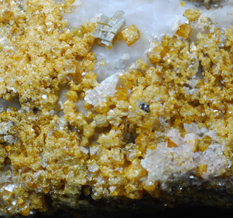 Fluorcalcioromeite - Grube Starlera - Val Starlera - Val Ferrera - Hinterrheintal - Graub�nden - Switzerland