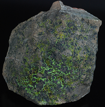 Vesignieite, cuprite and tenorite - Horn� Kaln� - Nov� Paka - Hradec Kr�lov� Region - Bohemia - Czech Republic