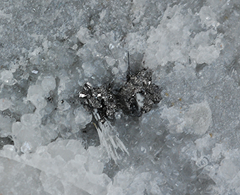 Famatinite and zinkenite - Madielle Quarries - Massa - Apuan Alps - Massa-Carrara prov. - Tuscany - Italy