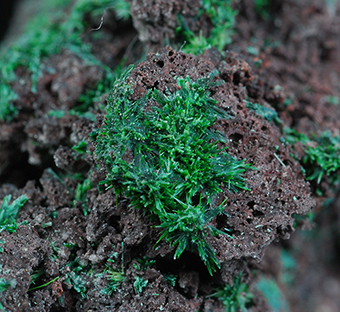 Piypite - Tolbachik Main Fracture eruption - Tolbachik volcano - Kamchatka Oblast' - Far-Eastern Region - Russia