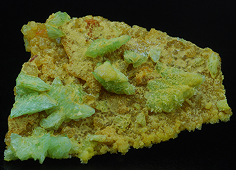 Mohrite over gypsum - The Geysers - West Mayacmas distr. - Mayacmas Mts - Sonoma Co. - California - USA