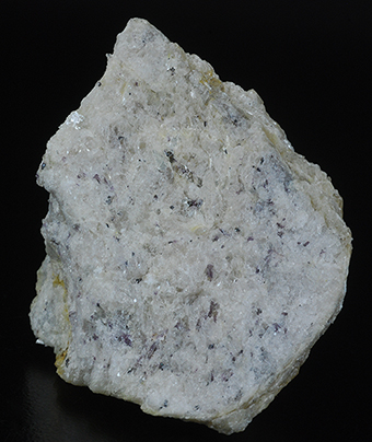 Ellenbergerite on pyrope - Case Parigi - Martiniana Po - Po Valley - Cuneo prov. - Piedmont - Italy
