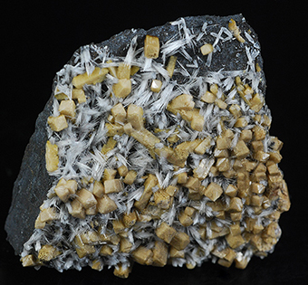 Poldervaartite and bultfonteinite - N'Chwaning Mines - Kuruman - Kalahari manganese fields - Northern Cape prov. - South Africa