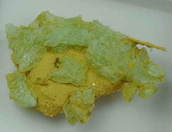 Mohrite over gypsum - The Geysers - West Mayacmas distr. - Mayacmas Mts - Sonoma Co. - California - USA