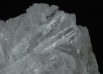 Strontioginorite - Kohnstein quarry - Niedersachswerfen - Nordhausen - Harz - Thuringia - Germany