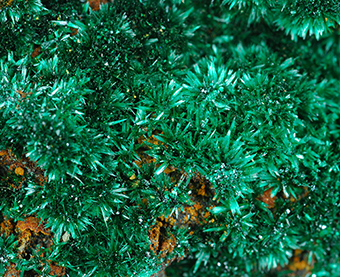 Brochantite - Aouli - Upper Moulouya lead distr. - Midelt - Kh�nifra prov. - Mekn�s-Tafilalet Region - Morocco