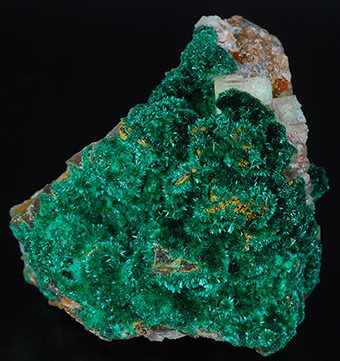 Brochantite - Aouli - Upper Moulouya lead distr. - Midelt - Kh�nifra prov. - Mekn�s-Tafilalet Region - Morocco