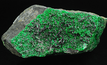 Shuiskite and uvarovite - Saranovskii mine - Saranovskaya Village - Gornozavodskii area - Permskaya Oblast' - Middle Urals - Urals Region - Russia