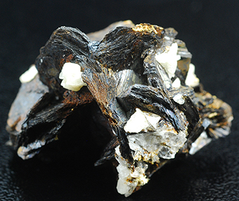 Niobophyllite and quartz - Mount Malosa - Zomba Distr. - Malawi