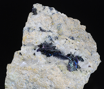 Covellite and quartz - Leonard mine - Butte - Butte distr. - Silver Bow Co. - Montana - USA