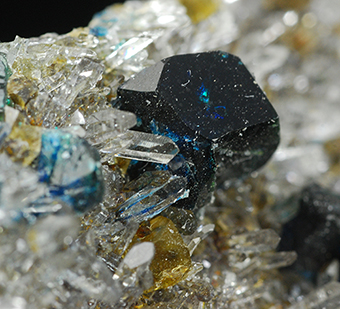 Lazulite, siderite and quartz - Rapid Creek - Dawson Mining distr. - Yukon Territory - Canada