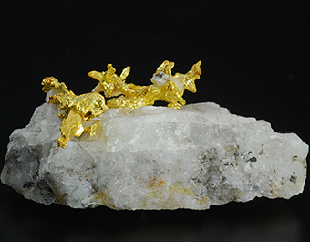 Gold - Ibex Mine - Breece Hill - Leadville - Leadville District - Lake Co. - Colorado - USA