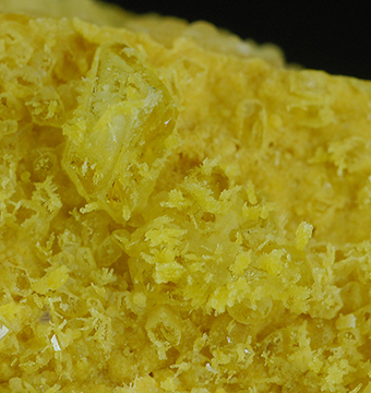 Mohrite over gypsum - The Geysers - West Mayacmas distr. - Mayacmas Mts - Sonoma Co. - California - USA