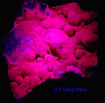 Calcite - Boccheggiano mines - Montieri - Grosseto prov. -  Tuscany - Italy