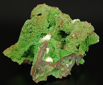 Conichalcite and calcite - Ojuela mine - Mapim� - Mun. de Mapim� - Durango -Mexico
