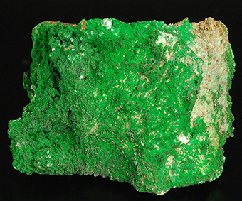 Euchlorine - Yadovitaya fumarole - Main Fissure near Breakthrough - Tolbachik volcano - Kamchatka Oblast' - Far-Eastern Region - Russia