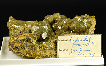 Andradite garnet - Quartzite Mountain  Stanley Distr. - Santa Teresa Mts - San Carlos Indian Reservation - Graham Co. - Arizona - USA