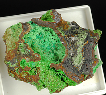 Conichalcite - Ojuela mine - Mapim� - Mun. de Mapim� - Durango -Mexico
