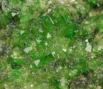 Vesuvianite and nepouite - Bellecombe - Aosta Valley - Italy