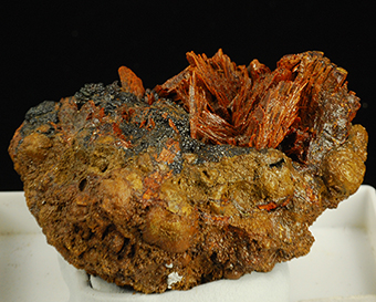 Santabarbaraite - Kerchenskoe deposit - Kerchenskyi(Fe)-ore basin - Kerch Pen. - Crimea Pen. - Russia (ex Ukraina)