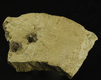 Hauerite - Jezi�rko Mine - Tarnobrzeg - Podkarpackie - Poland